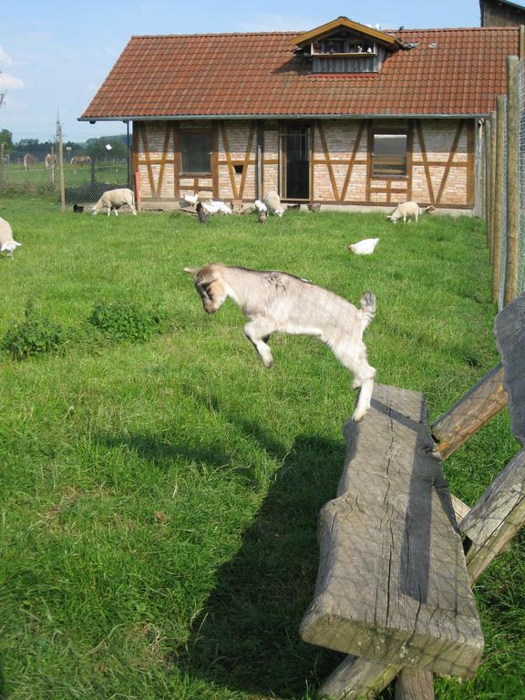 Ferienhof Roesch Bad Wurzach Zewnętrze zdjęcie